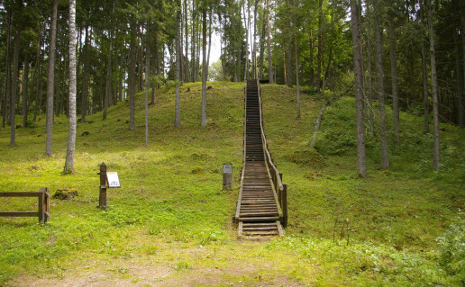 5_Pakačinės (Dembų) piliakalnis.Autorius Sartų ir Gražutės RP direkcija.jpg